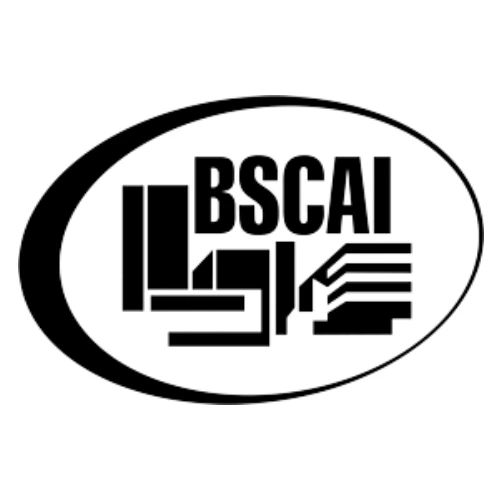 BSCAI logo with stylized handshake